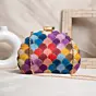 Women Multicolour Pattern Embroidery Clutch
