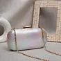 Women Multicolor Shimmery Party Clutch