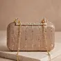 Woman Champagne Glimmer Embroidery Clutch