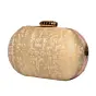 Woman Beautiful Beige Clutch