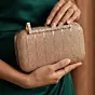 Woman Champagne Glimmer Embroidery Clutch