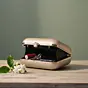 Women Off White Based Flower Girl Printed Clutch