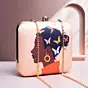 Women Beautifull Brown Girl with Pastel Butterfly Printed Clutch