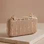 Woman Champagne Glimmer Embroidery Clutch