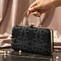 Woman Black Velvet Embroidery Clutch
