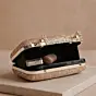 Woman Champagne Glimmer Embroidery Clutch