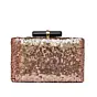 Women Bronze Sequins Clutch