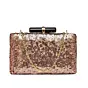Women Bronze Sequins Clutch