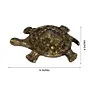 Brass Fend-Shui Tortoise
