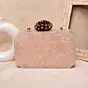 Women Baby Pink Stone Acrylic Clutch