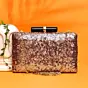 Women Bronze Sequins Clutch