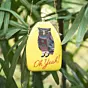 Women Oh Yeah Owl Printed Clutch