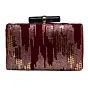 Women Golden Sequins Maroon Embroidery Clutch
