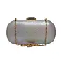 Women Multicolor Shimmery Party Clutch