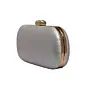 Women Multicolor Shimmery Party Clutch