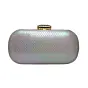 Women Multicolor Shimmery Party Clutch