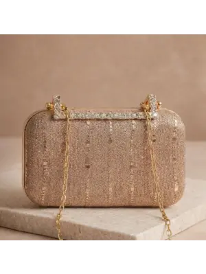 Woman Champagne Glimmer Embroidery Clutch