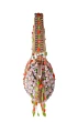 Women Wedding  Multicolor Beaded Bridal potli Bag