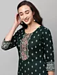 Women Printed Viscose Rayon Embroidered Straight Kurta (Green)