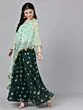 Mint And Dark Green Foil Print Organza Lehenga
