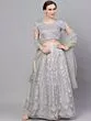 Grey & Silver Organza Foil Print Lehenga Choli With Solid Dupatta