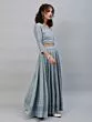 Blue Schiffli Work Lehenga Choli With Dupatta
