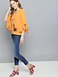 Women Mustard Solid Top with Embroidered Detail