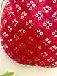 Women Red Chikan Embroidered Sequence Potli Bag