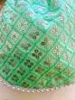 Women Green Chikan Embroidered Sequence Potli Bag
