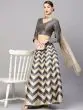 Biege Grey Self Designed Lehenga Choli With Dupatta