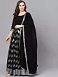 Black & Silver Embellished Lehenga Choli With Dupatta