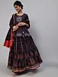 Blue & Red Floral Printed Embroidered Lehenga Choli With Dupatta Set