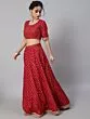 Red Gold Printed Lace Work Lehenga Choli With Brocade Dupatta