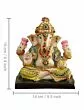 Ganesha Idol Statue Showpiece Figurine (Resin, Multi, 16 cm x 14 cm x 7 cm)