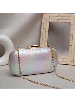 Women Multicolor Shimmery Party Clutch