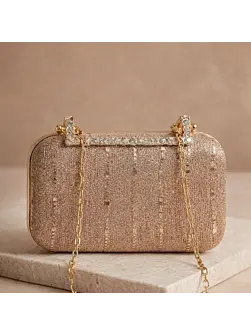Woman Champagne Glimmer Embroidery Clutch