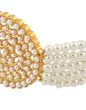 Pearl Work Choker Set with Earring