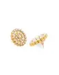 Pearl Work Choker Set with Earring